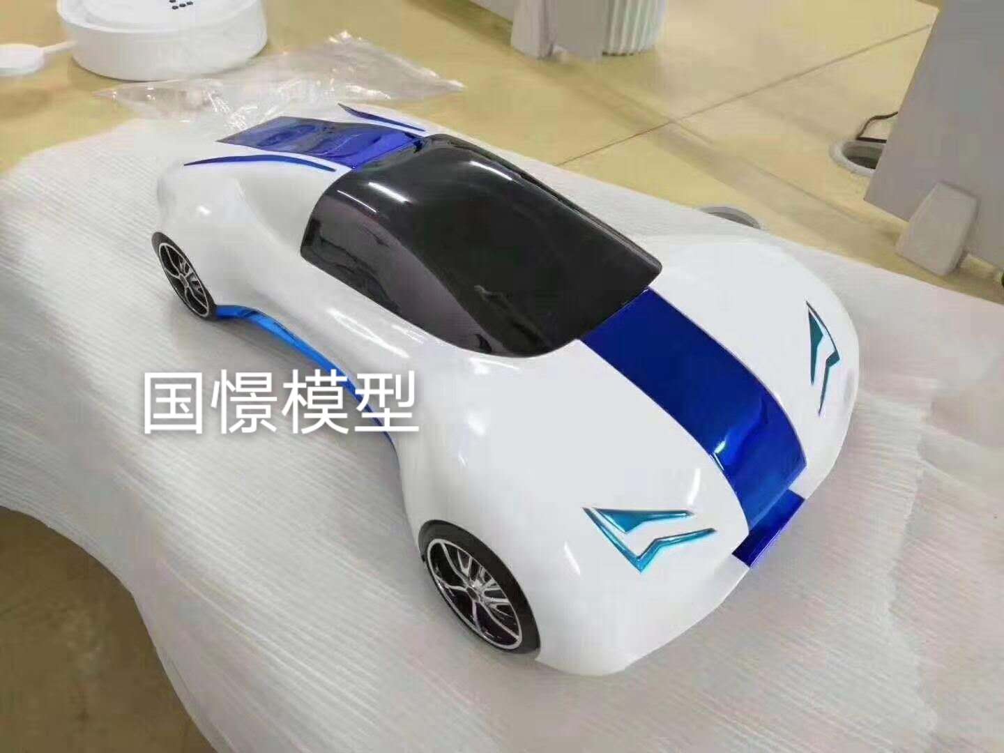 临泉县车辆模型